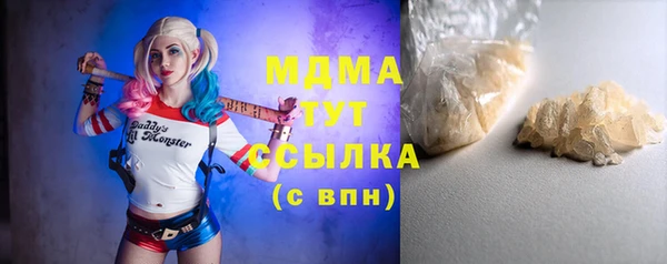 индика Абаза