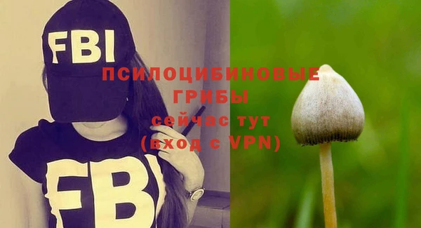 индика Абаза