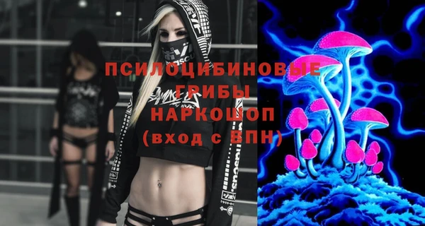индика Абаза