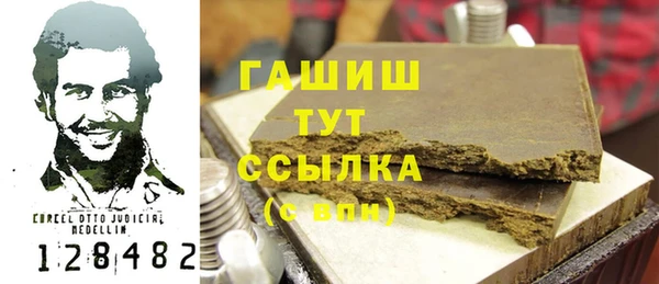 индика Абаза