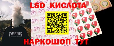 прущие крисы Камышлов