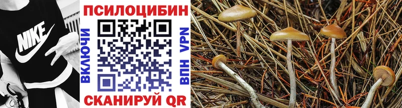 kraken ССЫЛКА  Кумертау  Галлюциногенные грибы ЛСД 