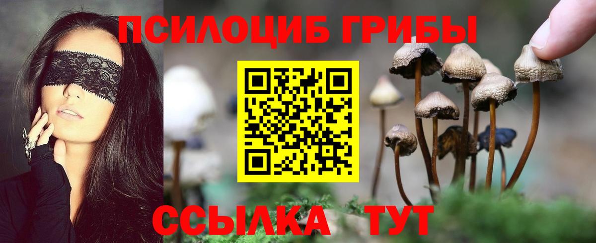 Кумертау  Галлюциногенные грибы мухоморы  Вход с VPN 