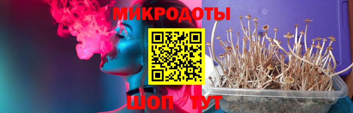 Псилоцибиновые грибы ЛСД Кумертау